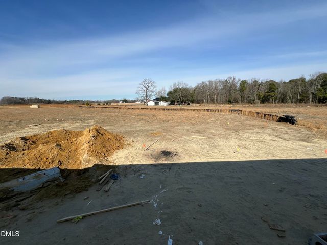 177 Grace Pond Avenue, Benson, NC 27504