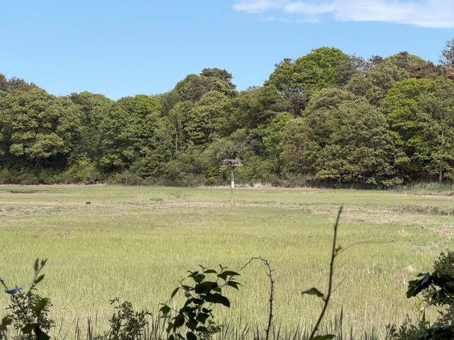 52 Ellis Circle, Yarmouth Port, MA 02675
