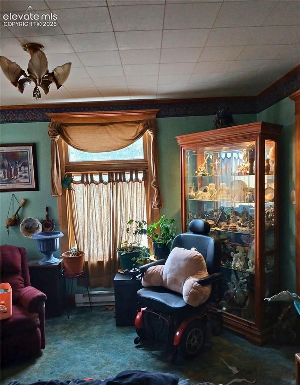 401 E Carr Avenue, Cripple Creek, CO 80813 — photo 5