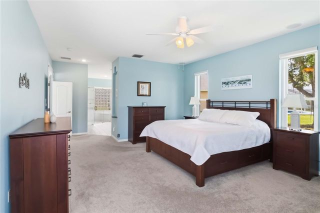 19120 MANDARIN GROVE PLACE, Tampa, FL 33647