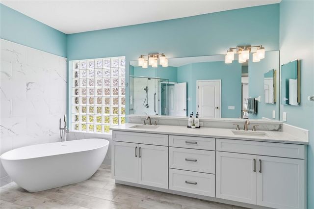 19120 MANDARIN GROVE PLACE, Tampa, FL 33647