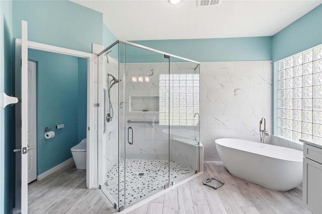 19120 MANDARIN GROVE PLACE, Tampa, FL 33647