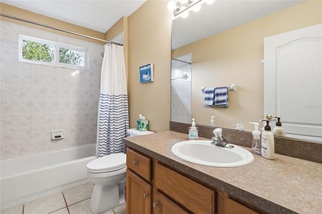 19120 MANDARIN GROVE PLACE, Tampa, FL 33647