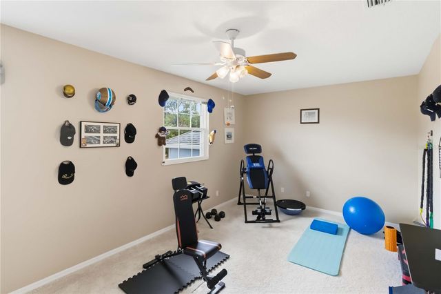 19120 MANDARIN GROVE PLACE, Tampa, FL 33647