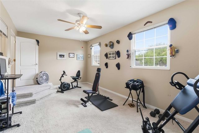 19120 MANDARIN GROVE PLACE, Tampa, FL 33647