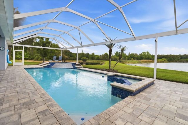 19120 MANDARIN GROVE PLACE, Tampa, FL 33647