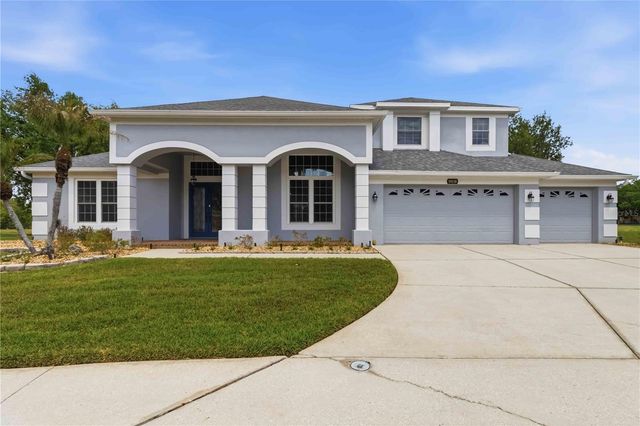 19120 MANDARIN GROVE PLACE, Tampa, FL 33647