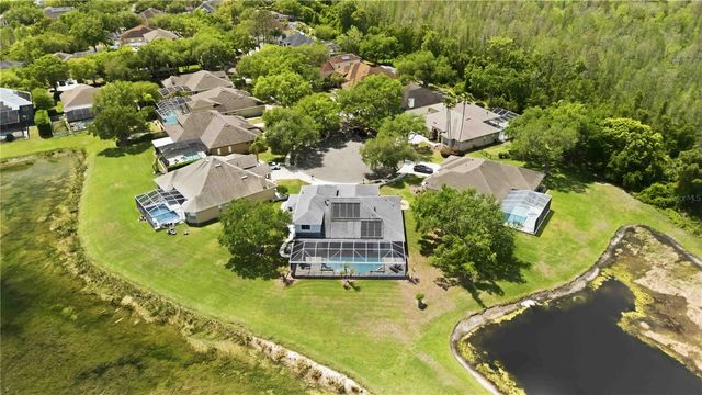 19120 MANDARIN GROVE PLACE, Tampa, FL 33647