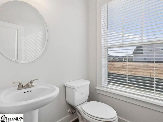 247 Chapel Creek Court, Greenville, SC 29605