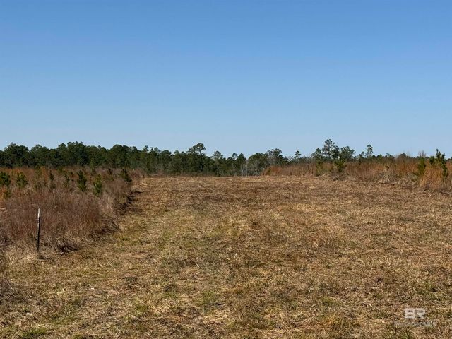 4 County Road 64, Robertsdale, AL 36567