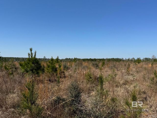 4 County Road 64, Robertsdale, AL 36567