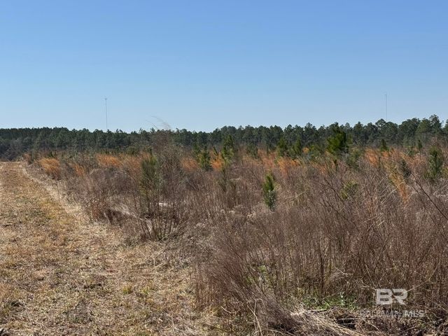 4 County Road 64, Robertsdale, AL 36567