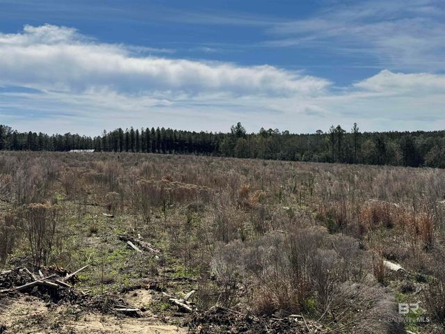 4 County Road 64, Robertsdale, AL 36567