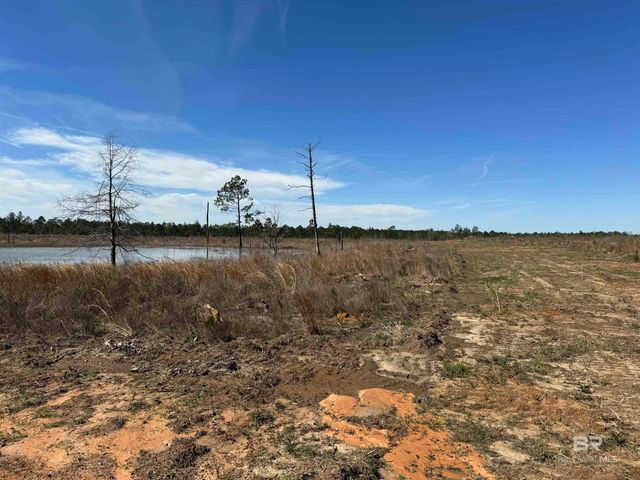 4 County Road 64, Robertsdale, AL 36567