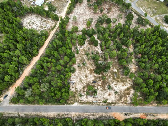Lot 5 Beethoven Circle, Defuniak Springs, FL 32433