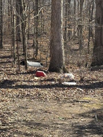 1156 Bearwallow Rd, Ashland City, TN 37015