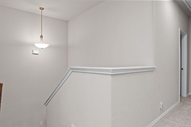 252 Elisabeth Run, San Antonio, TX 78253