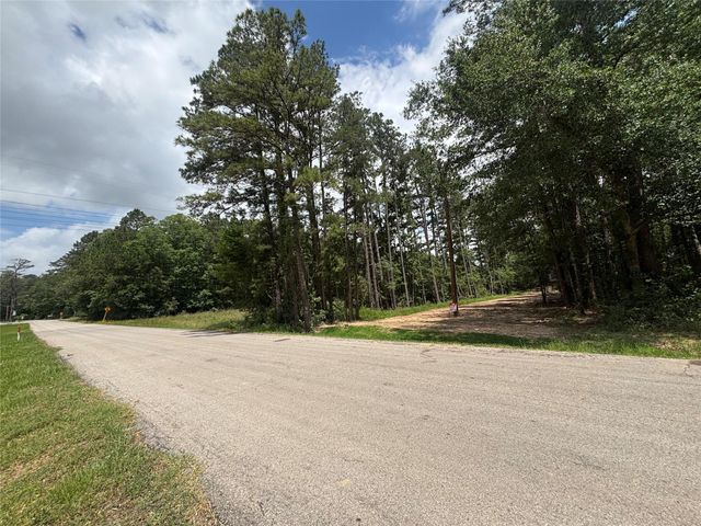 0000 Roman Forest Blvd, New Caney, TX 77537