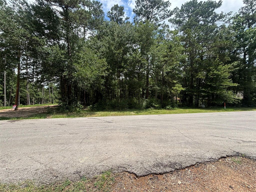 0000 Roman Forest Blvd, New Caney, TX 77537