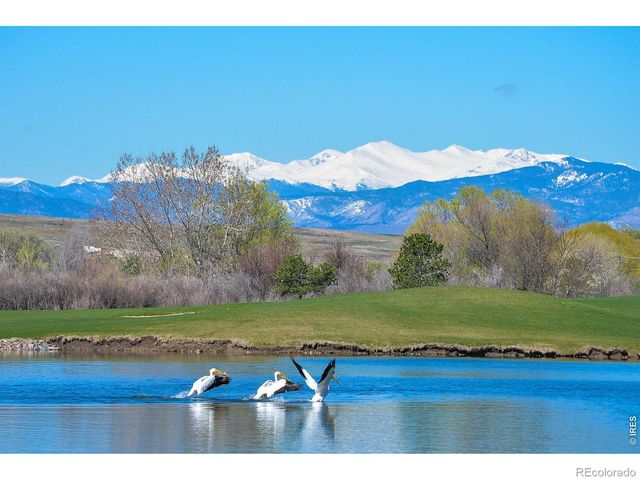 2178 Cape Hatteras Drive 6, Windsor, CO 80550