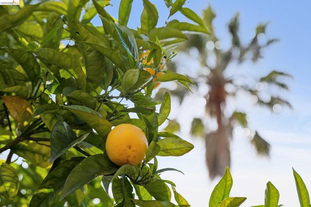 715 Hillgirt Cir, Oakland, CA 94610