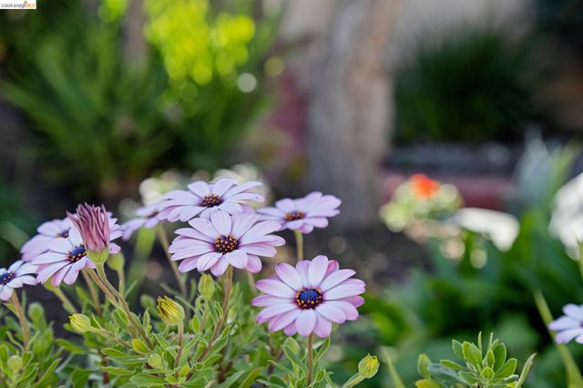 715 Hillgirt Cir, Oakland, CA 94610