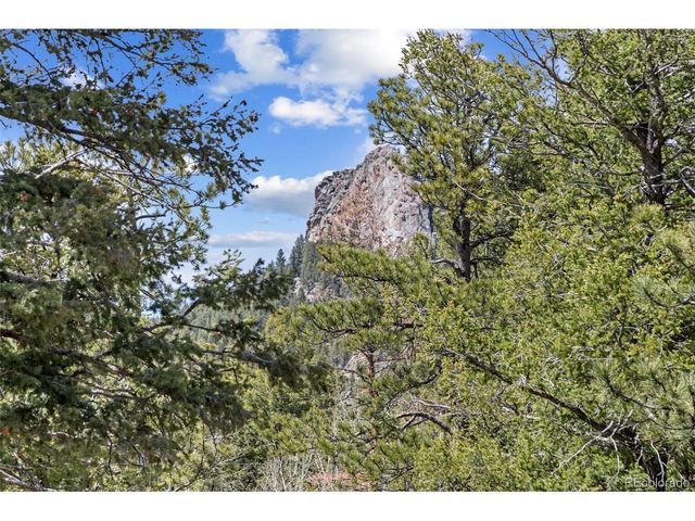 23971 Mormon Dr, Conifer, CO 80433