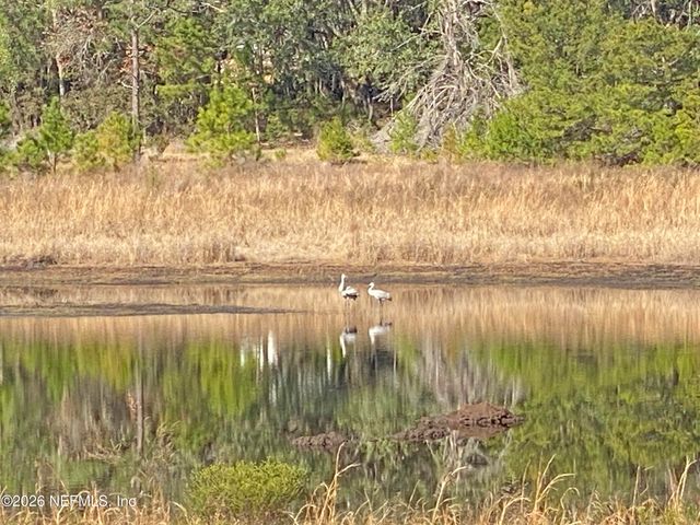194 WHIRLWIND Loop, Hawthorne, FL 32640