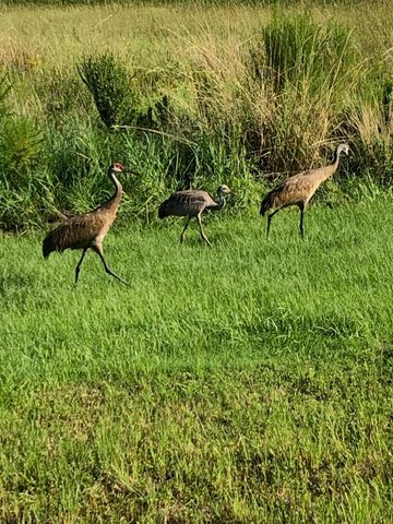 12861 SW Ambra Street, Port St. Lucie, Port St Lucie, FL 34987