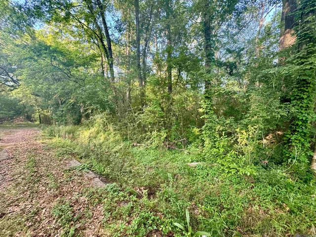 Lot F Hazeloak Dr, Baker, LA 70714