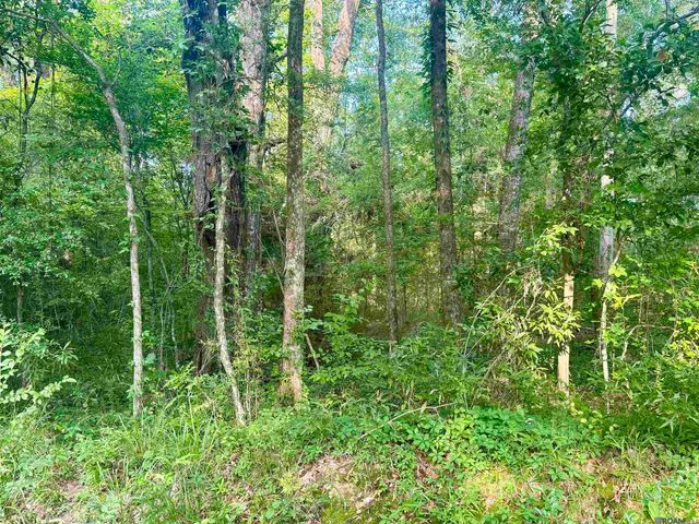 Lot F Hazeloak Dr, Baker, LA 70714