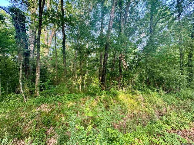 Lot F Hazeloak Dr, Baker, LA 70714