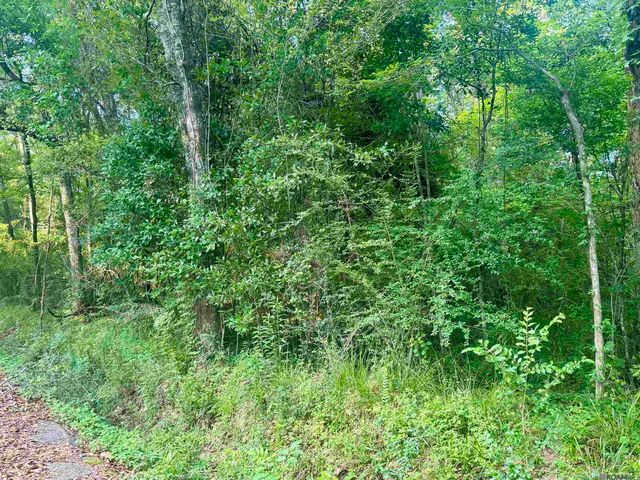 Lot F Hazeloak Dr, Baker, LA 70714