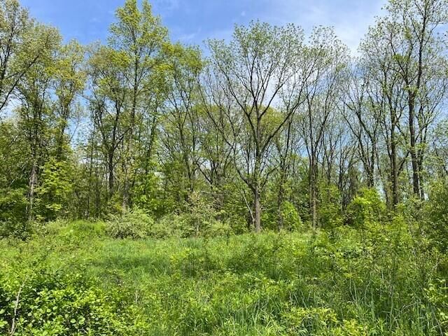 15267 Oak Hollow Drive, Holly, MI 48442