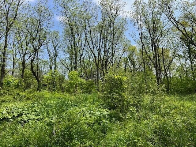 15267 Oak Hollow Drive, Holly, MI 48442