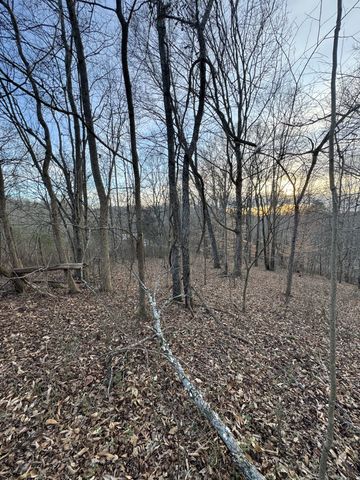 0 Macon Wall Rd, Ashland City, TN 37015