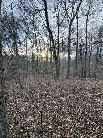 0 Macon Wall Rd, Ashland City, TN 37015