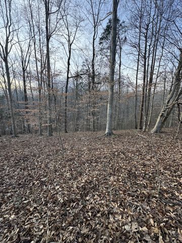 0 Macon Wall Rd, Ashland City, TN 37015