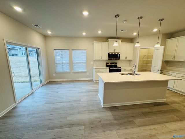 29362 Satilla Circle, Madison, AL 35756