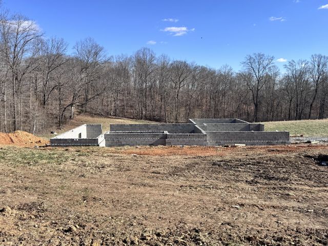 1507 Liberty Rd, Charlotte, TN 37036