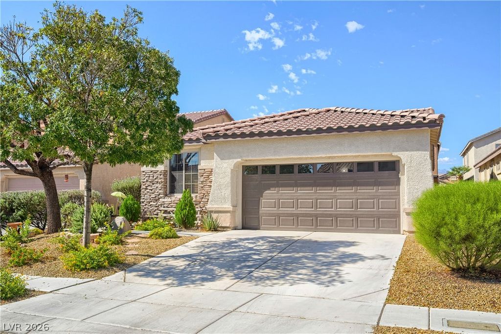 8227 Oasis Bloom Street, North Las Vegas, NV 89085 — photo 3