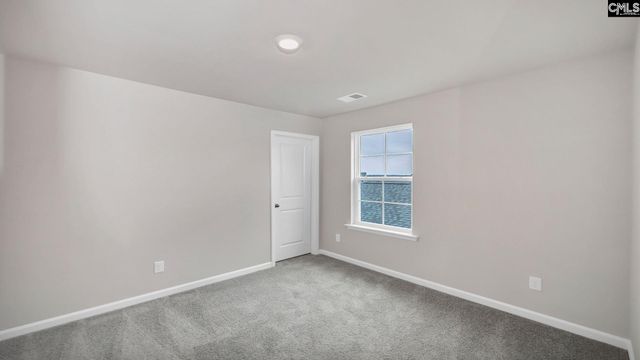 198 Livingston Woods Drive, Irmo, SC 29063