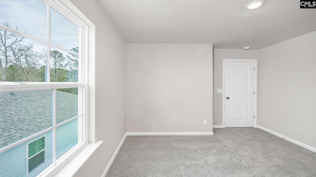 198 Livingston Woods Drive, Irmo, SC 29063