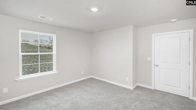 198 Livingston Woods Drive, Irmo, SC 29063