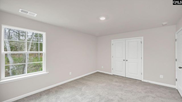 198 Livingston Woods Drive, Irmo, SC 29063