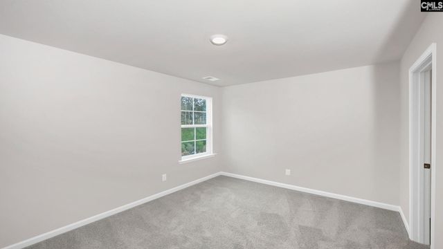 198 Livingston Woods Drive, Irmo, SC 29063