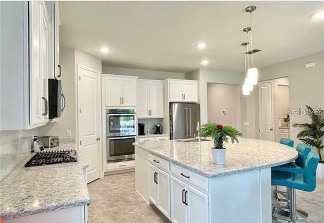 13542 GORGONA ISLE DRIVE, Windermere, FL 34786