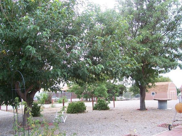 106 Fulton Avenue, Rio Communities, NM 87002