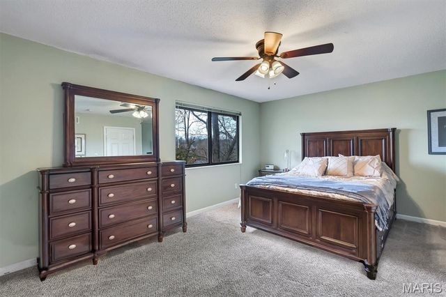 603 Painted Vista Drive, Ballwin, MO 63021