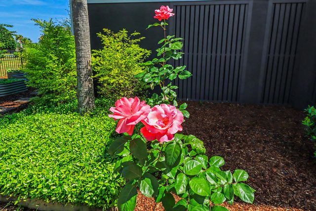 708 Donnelly Corner Drive, Awendaw, SC 29429